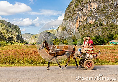 A typical view in Vinales Valley in Cuba. Editorial Stock Photo