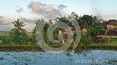 Typical village in the East of Java Stock Photo