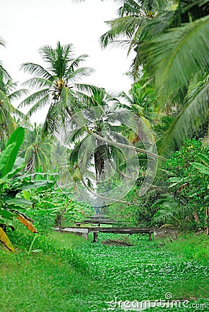 Village scene @ Bagan Datuk Editorial Stock Photo