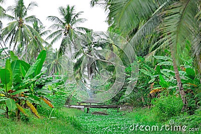 Village scene @ Bagan Datuk Editorial Stock Photo