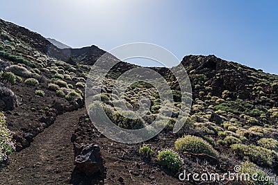 Typical volcanic landscape of Tenerife. Stock Photo