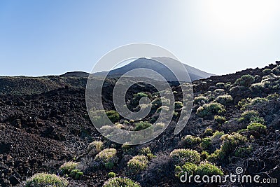 Typical volcanic landscape of Tenerife. Stock Photo