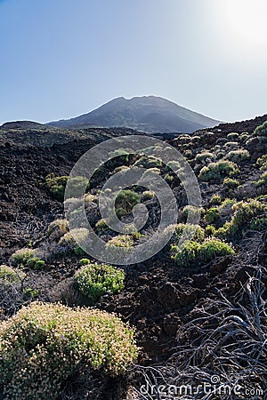 Typical volcanic landscape of Tenerife. Stock Photo