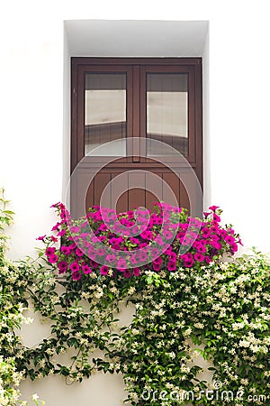Typical Window decorated Pink and White Flowers, Cordoba, Spain Stock Photo