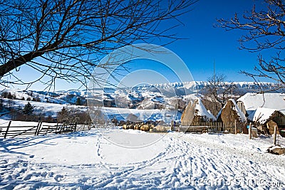 Typical winter scenic view with haystacks and sheeps Stock Photo