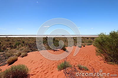 Typical desert vegetation on the background a great salt lake , Outhback Australian Stock Photo