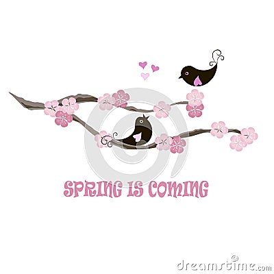 Typography banner Spring is coming, black birds on blooming branch, pink flowers, hearts on white Vector Illustration
