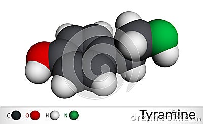 Tyramine, tyramin molecule. It is monoamine compound derived from tyrosine. Molecular model Stock Photo