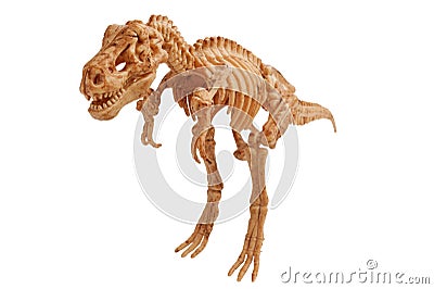 Tyrannosaur Stock Photo