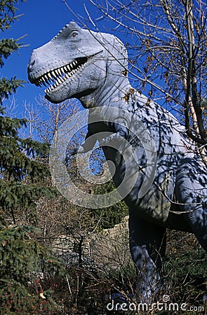 Tyrannosaur, tyrannosaurus rex Stock Photo