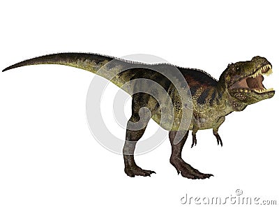 Tyrannosaurus Stock Photo