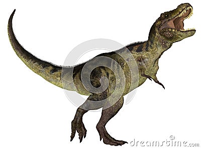 Tyrannosaurus Stock Photo