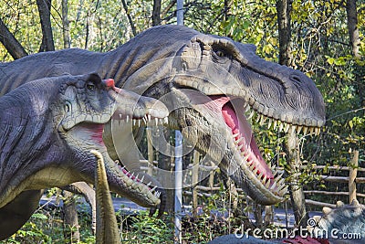 Tyrannosaurus and allosaurus Stock Photo