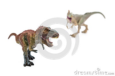 Tyrannosaurus in front and allosaurus on back on white background selective focus Stock Photo