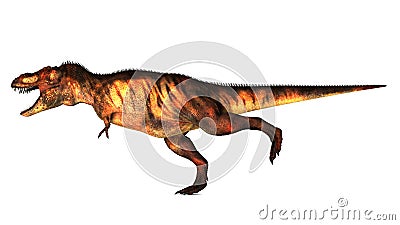 Tyrannosaurus Stock Photo