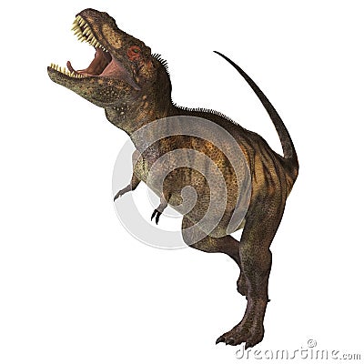 Tyrannosaurus Rex 02 Stock Photo