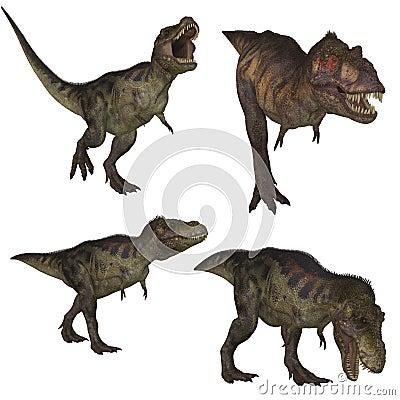 Tyrannosaurus Rex Stock Photo