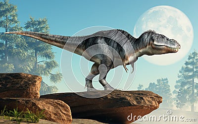 Tyrannosaurus Rex on a Cliff Stock Photo