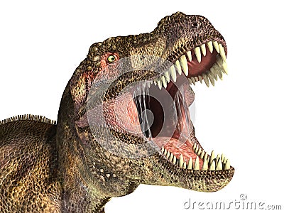 Tyrannosaurus Rex dinosaur, photorealistic representation. Head Stock Photo