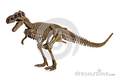 Tyrannosaurus Rex Skeleton Stock Photo