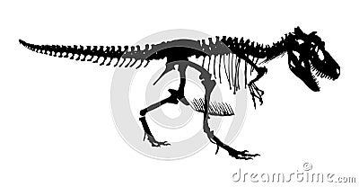 Tyrannosaurus Rex skeleton . Silhouette vector . side view Vector Illustration