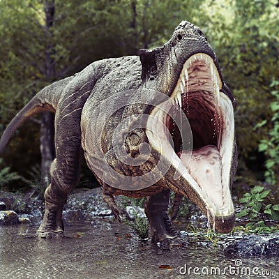 A Tyrannosaurus Rex standing in water with an aggressive stance and a woods background. Stock Photo