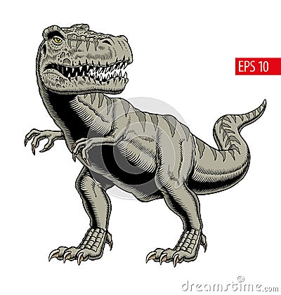 Tyrannosaurus rex or t rex dinosaur isolated on white. Vector illustration Vector Illustration