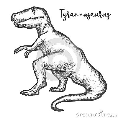 Tyrannosaurus rex or T-rex dinosaur sketch vector Vector Illustration