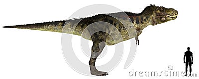 Tyrannosaurus Size Comparison Stock Photo