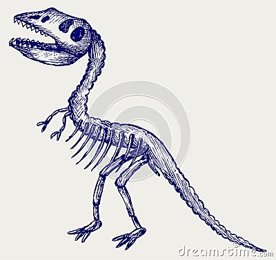 Tyrannosaurus skeleton Vector Illustration