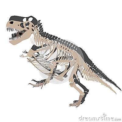 Tyrannosaurus skeleton walking. Cartoonillustration. Cartoon Illustration