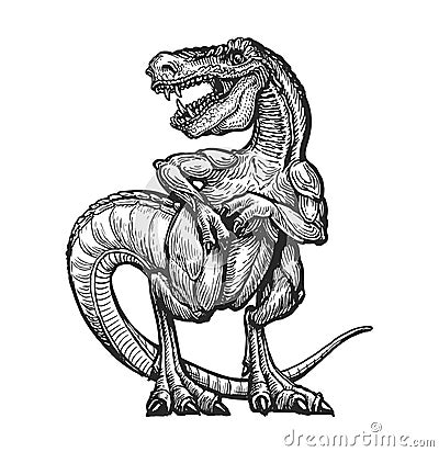 Tyrannosaurus sketch. Prehistoric carnivorous roaring dinosaur vector illustration Vector Illustration