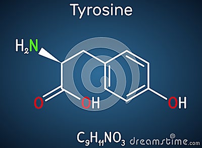 Tyrosine, L-tyrosine, Tyr, C9H11NO3 amino acid molecule. It plays role in protein synthesis, it is precursor for synthesis of Vector Illustration