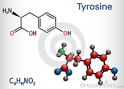 Tyrosine, L-tyrosine, Tyr, C9H11NO3 amino acid molecule. It plays role in protein synthesis, it is precursor for synthesis of Vector Illustration