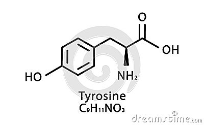 Tyrosine molecular structure. L-Tyrosine skeletal chemical formula. Chemical molecular formula vector illustration Vector Illustration