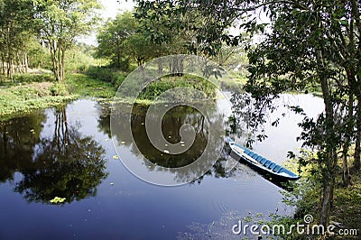 U Minh Thuong National Forest Stock Photo