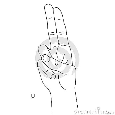 U is the twenty-first letter of the alphabet in sign language. Gesture in the form of the index and middle finger Vector Illustration