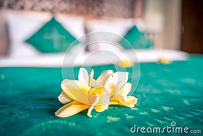 Luxury hotel room interior. Bed decorated with tropical flowers before guest arrival Stock Photo
