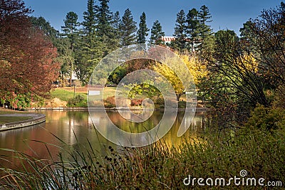 UC Davis Arboretum in the Autumn Editorial Stock Photo