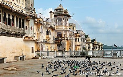 Udaipur / India - 08.11.2019: Pigeons at old building in the colors of Udaipur Editorial Stock Photo