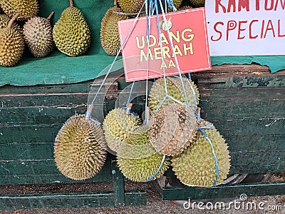 Udang Merah AA durians. Stock Photo