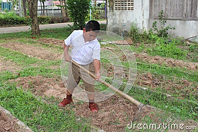 Take seeds to grow. Editorial Stock Photo