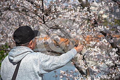 Birds in human hand in the park Editorial Stock Photo