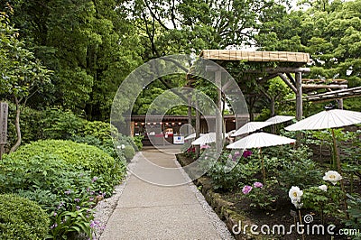 Ueno Toshogu Peony Garden Editorial Stock Photo