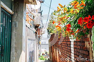 Ugakro cultural village alley with flowers in Incheon, Korea Stock Photo