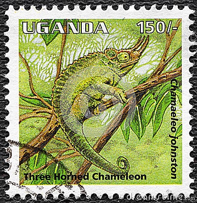 Uganda - CIRCA 1995: Three-horned chameleon on postage stamp of Uganda, circa 1995 Editorial Stock Photo