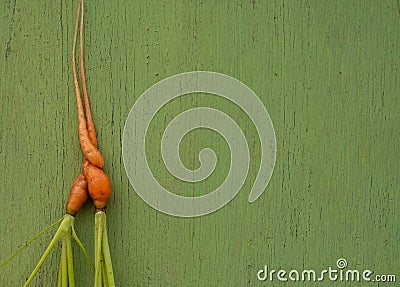 Ugly carrots on a green wooden background Stock Photo