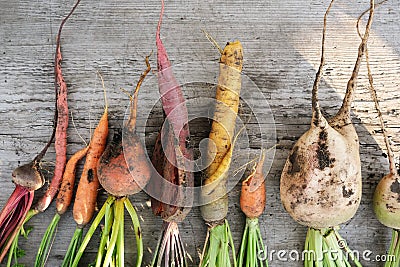 Ugly organic vegetables Stock Photo