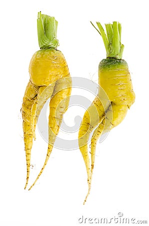 Ugly shaped vegetables, food. Deformed fresh organic carrots. Misshapen produce Stock Photo