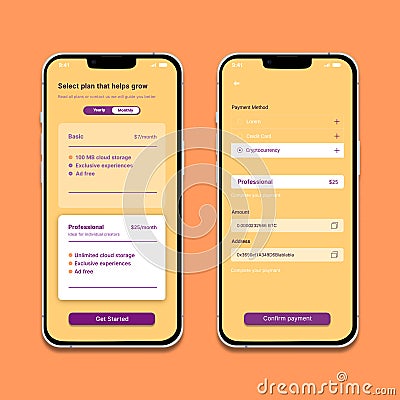 A pricing plan page and a checkout flow that accepts credit cards and crypto payments. Vector Illustration